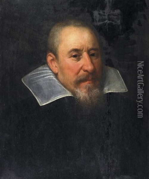 Herrenportrat Oil Painting - Bartholomaeus (Barthel) Bruyn the Younger