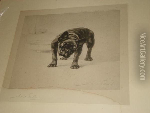 Bull Dog Oil Painting - Maud Earl
