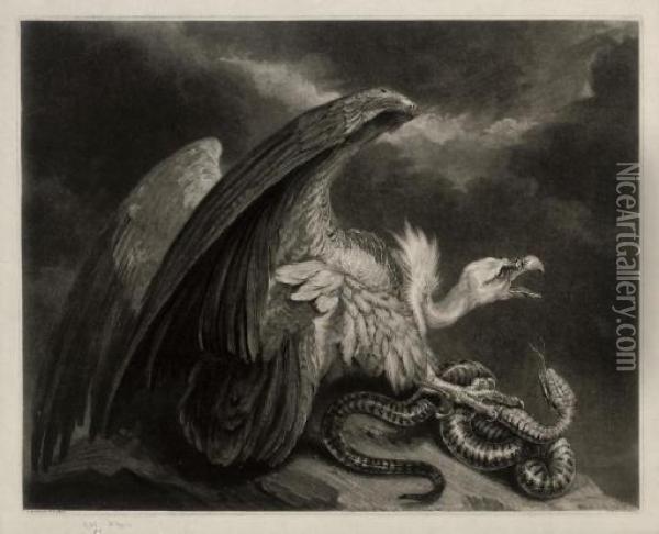 Vulture And Snake Oil Painting - Samuel William I Reynolds