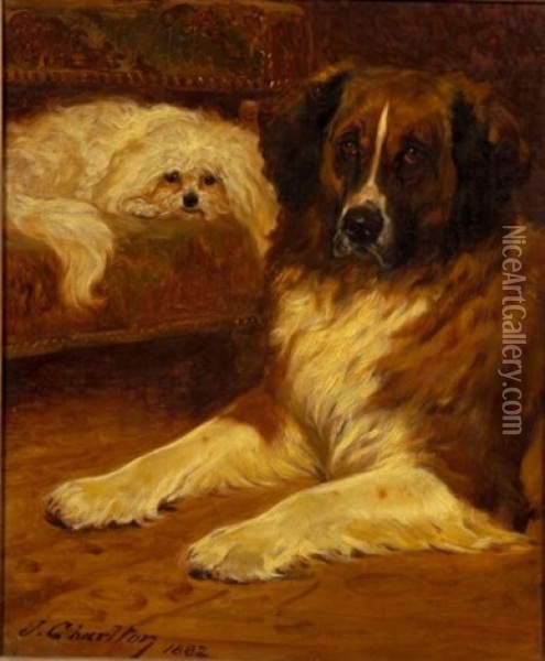Best Friends - A Portrait Of Two Dogs Oil Painting - John Charlton