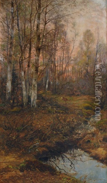 Forest Clearing With Birches At Sunrise Oil Painting - Franz Schreyer