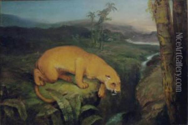 Wardle, 'a Lioness By A Stream' Oil Painting - Arthur Wardle