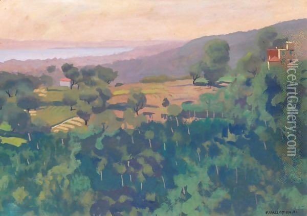 Hill Above Cagnes, In The Morning Oil Painting - Felix Edouard Vallotton