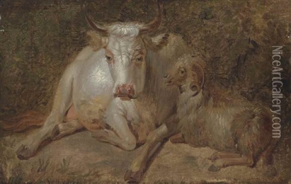 Study Of A Cow And A Sheep In A Woodland Clearing Oil Painting - James Ward