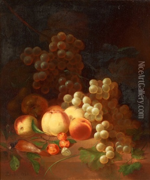 Stilleben Med Frukter, Druvor Och Dod Fagel Oil Painting - Joseph Rhodes
