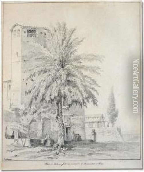 Study Of A Palm Tree In The Convent Of S. Bonaventura, Rome Oil Painting - Claude I Thienon