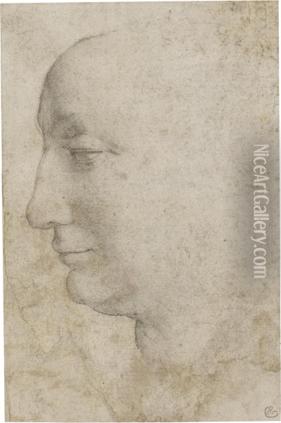 Head Of A Woman Seen In Profile, Looking To The Left Oil Painting - Agnolo Bronzino
