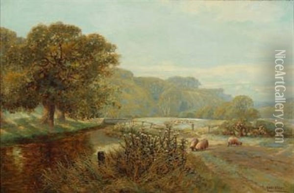 Grazing Sheep Oil Painting - Harry James Sticks