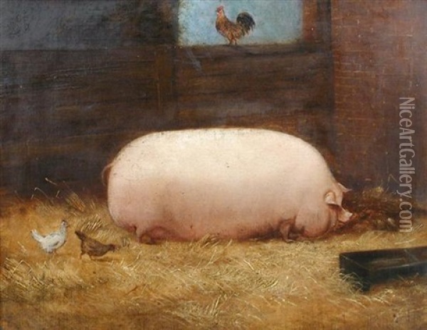 Victoria, A Prize Pig Oil Painting - John Vine