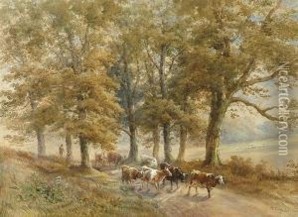 Droving Cattle Down A Rural Lane Oil Painting - Henry Earp