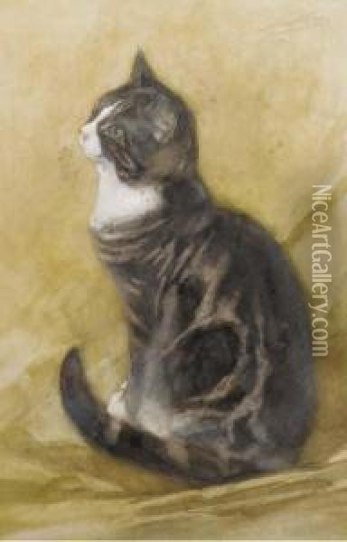 Fascinated Feline Oil Painting - Nicolaas Van Der Waay