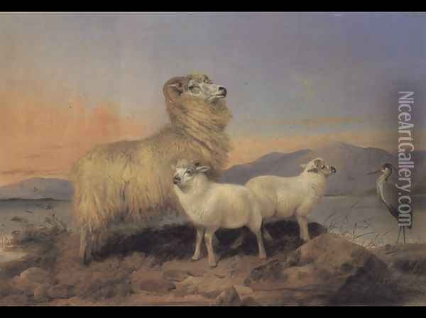 A Ewe with Lambs and a Heron Beside a Loch Oil Painting - Richard Ansdell