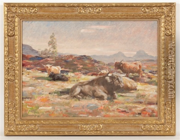 Highlnd Cattle, On The Moor (with Canisp And Suilven In The Distance) Oil Painting - Andrew Douglas