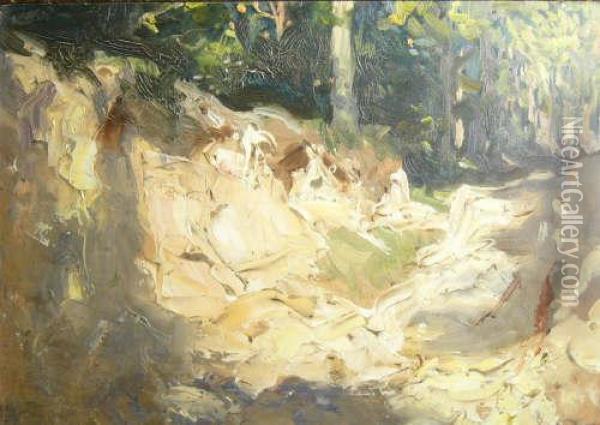 A Study Of A Pathin Halsdon Woods Oil Painting - Charles Wellington Furse