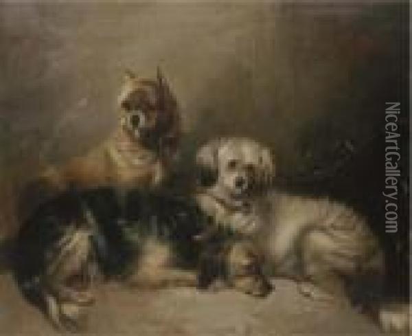 Three Mischievous Terriers Oil Painting - George Armfield
