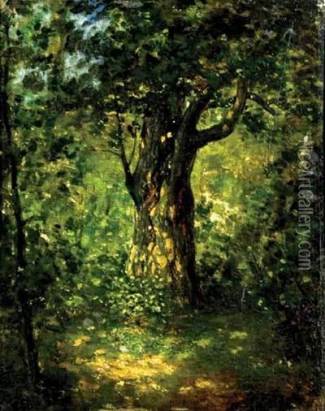 Sun Dappled Tree In A Forest Clearing Oil Painting - Narcisse-Virgile D Az De La Pena