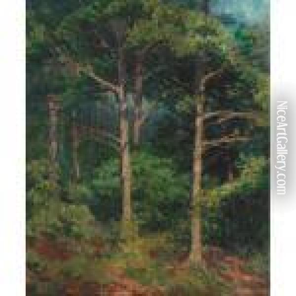 Connecticut Forest Oil Painting - Ernest Lawson
