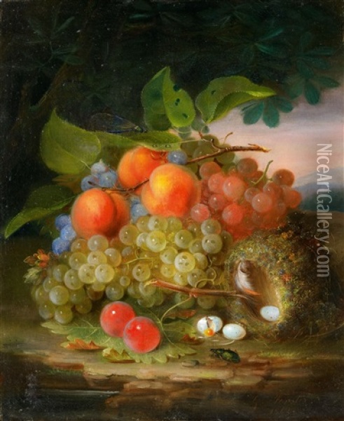 Still Life With Fruit And A Bird's Nest Oil Painting - George Forster