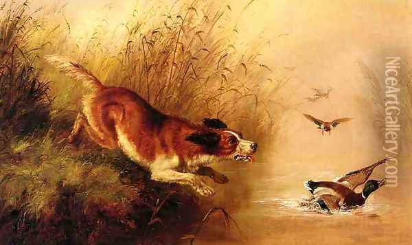 Spaniel Chasing Ducks Oil Painting - Arthur Fitzwilliam Tait