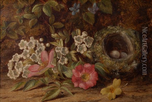 A Still Life With Bird's Nest And Flowers Oil Painting - Thomas Collins