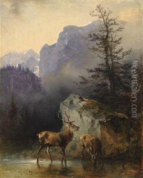 Red Deer At The Watering Place Oil Painting - Friedrich Gauermann