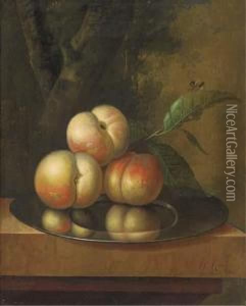Peaches And A Bee On A Pewter Platter On A Marble Ledge, In A Wooded Landscape Oil Painting - Johan Christian Roedig