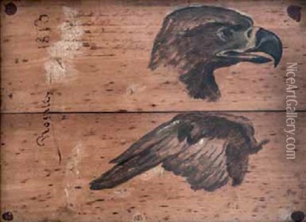 Cabeza Y Ala De Aguila Oil Painting - Eduardo Rosales