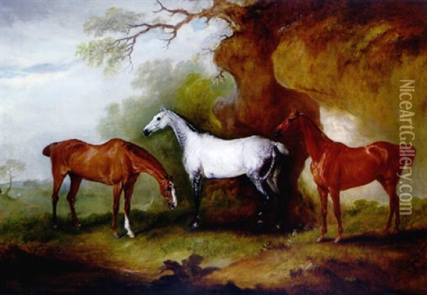 Three Hunters Belonging To Robert Myddleton-biddulph Oil Painting - John E. Ferneley
