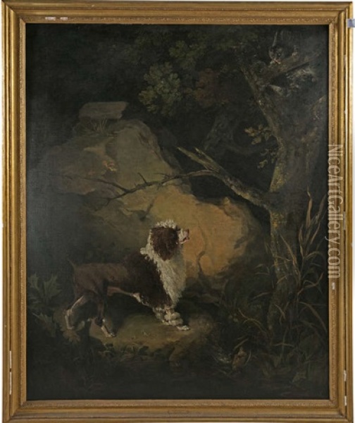 A Hunting Dog Holding A Cat At Bay In A Woodland Oil Painting - Philipp Reinagle
