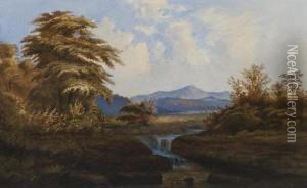 Wooded Landscape With Distant Mountains Oil Painting - Cornelius Varley