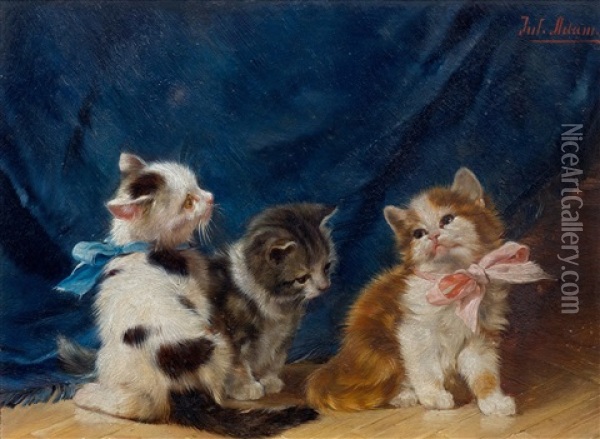Drei Junge Katzen, Zwei Davon Mit Schleifen Oil Painting - Julius Adam the Younger