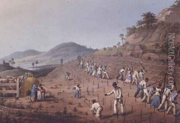 Breaking up the Land, from 'Ten Views in the Island of Antigua', 1823 Oil Painting - William Clark