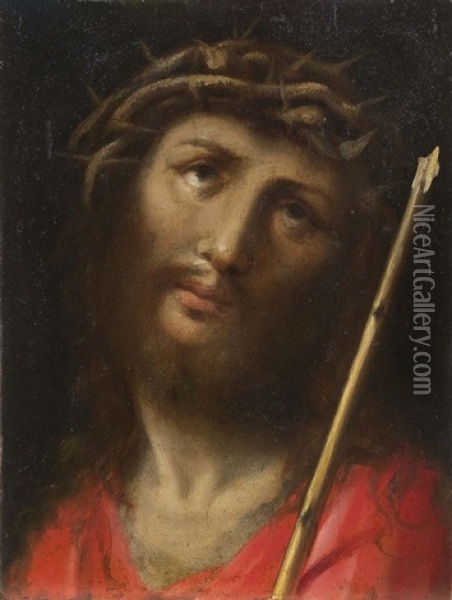 Testa Di Cristo Coronata Di Spine Oil Painting - Giulio Cesare Procaccini