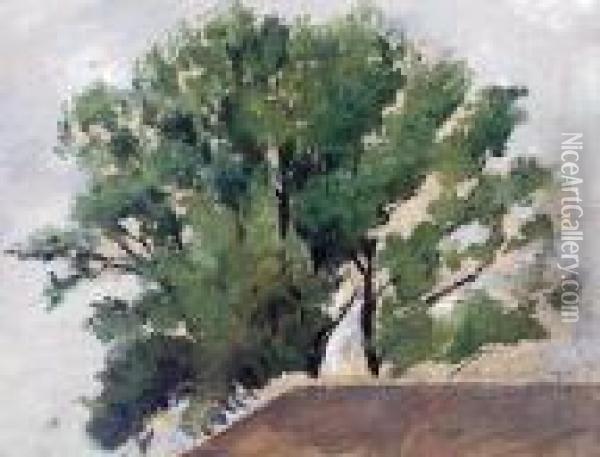Studium Drzewa Oil Painting - Stanislaw Kamocki