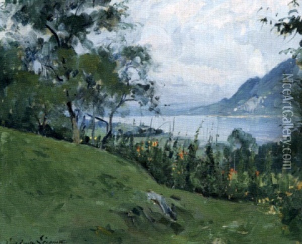 Temps Gris Sur Le Lac Oil Painting - Paul Emile Lecomte