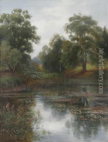 Schilfbewachsener Teich Mit Enten Und Baumen Im Hintergrund Oil Painting - Horst Hacker