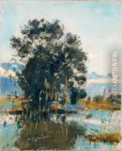 Marshland By Gwatt (lake Of Thun) Oil Painting - Ferdinand Hodler