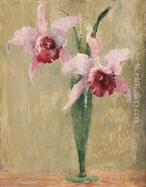 Orchids Oil Painting - Anna S. Fisher
