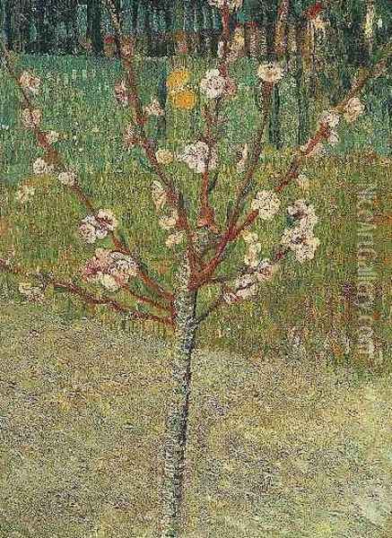Almond Tree In Blossom Oil Painting - Vincent Van Gogh