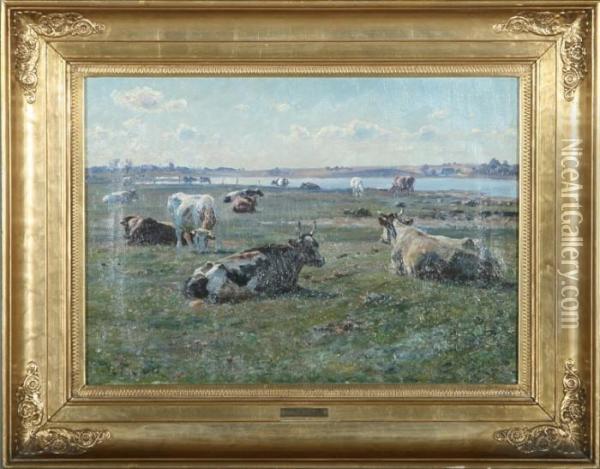 Cows In The Meadow On A Sonny Day Oil Painting - Michael Therkildsen