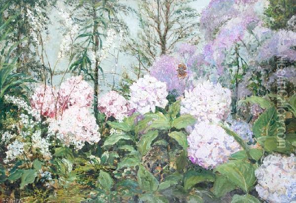 Butterfly And Hydrangeas Oil Painting - John Falconar Slater