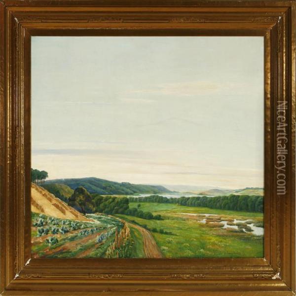 Danish Summer Landscape From The Silkeborg Lake Distritc Oil Painting - Johan Gudmann Rohde