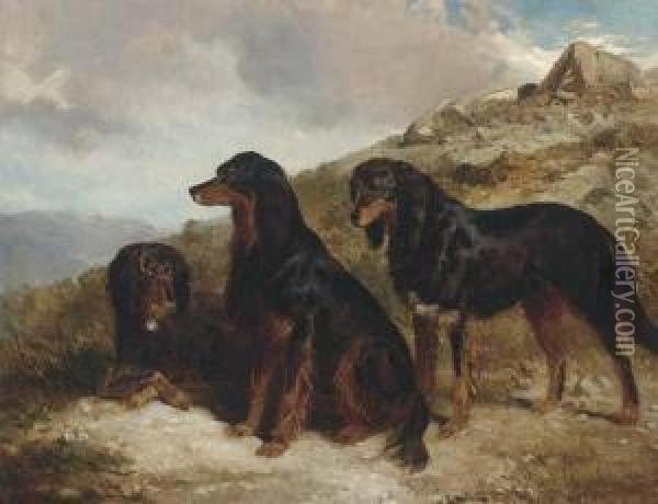 Reuben, Roland, And Rector, Black And Tan Setters In A Highlandlandscape Oil Painting - Alfred F. De Prades