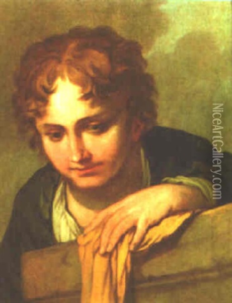 Study Of A Boy, Head And Shoulders Oil Painting - Giulio Carpioni