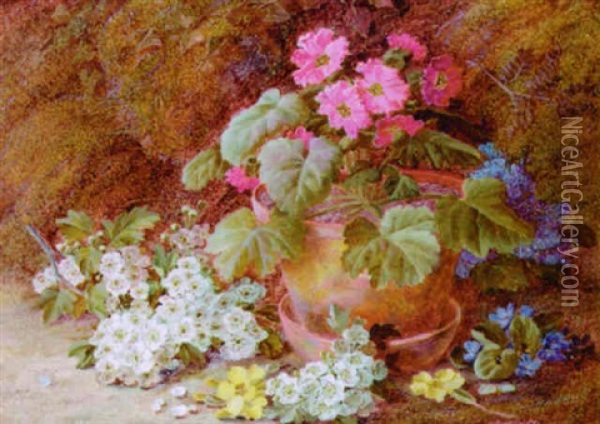 A Geranium In A Flower Pot With Primroses, May Blossom And African Violets On A Mossy Bank Oil Painting - Vincent Clare