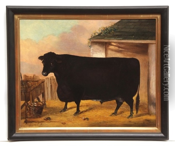 Primitive Black Bull Oil Painting - John Vine