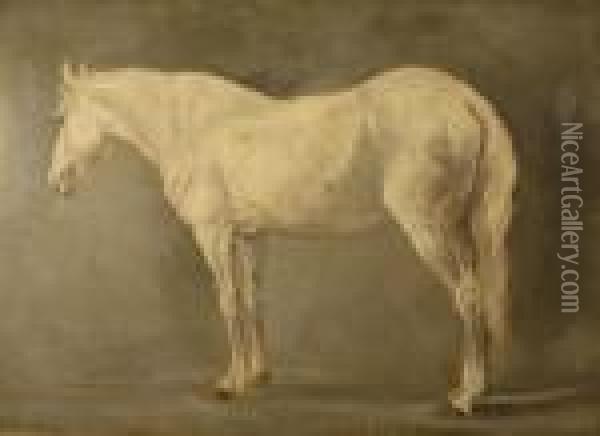 Portrait Of A Horse - Cheval Pommele Gris Oil Painting - Jacques Laurent Agasse