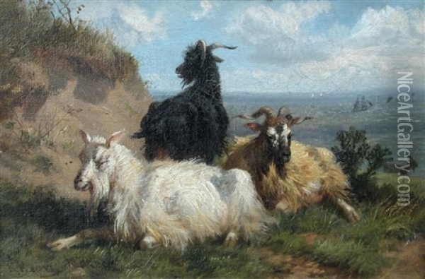 Study Of Goats On Cliffs By The Seashore; Study Of Sheep (pair) Oil Painting - Richard Beavis
