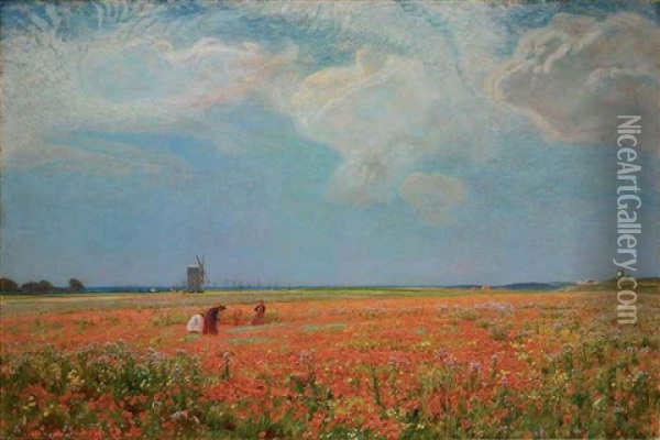 Flowers Of The Field Oil Painting - David Murray