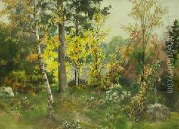 A Glimpse Through The Trees Oil Painting - Benjamin John Ottewell